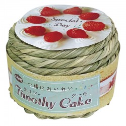 KAWAI Timothy Cake (With 2 Timothy Candles)