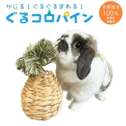 [限定] 日本KAWAI 香蕉莖&提摩西草鳳梨造型玩具