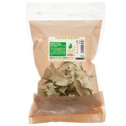 日本Leaf Corp 國產天然木瓜脆片 30g