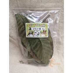 Japan うさぎとCAFE Loquat Leaf 20g