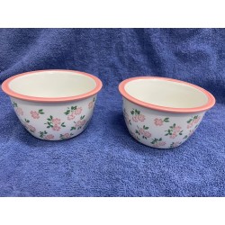 Charity Sale- 陶瓷砰花食物碗