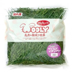 義賣 - Wooly 高原意大利黑麥草 (幼草) (未挑雜質) - 400g